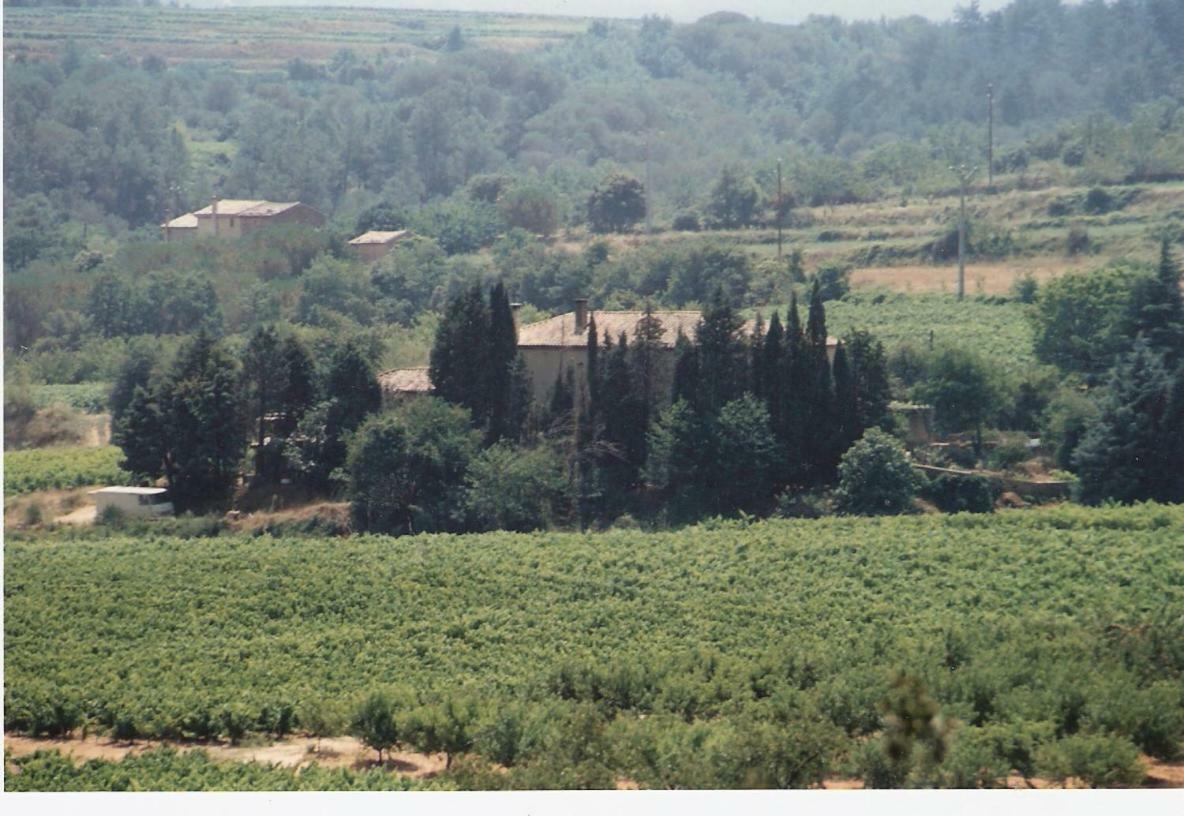 Domaine Chanoine Rambert Saint-Andre-d'Olerargues Kültér fotó